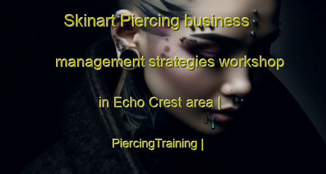 Skinart Piercing business management strategies workshop in Echo Crest area | PiercingTraining | PiercingClasses | SkinartTraining-United States